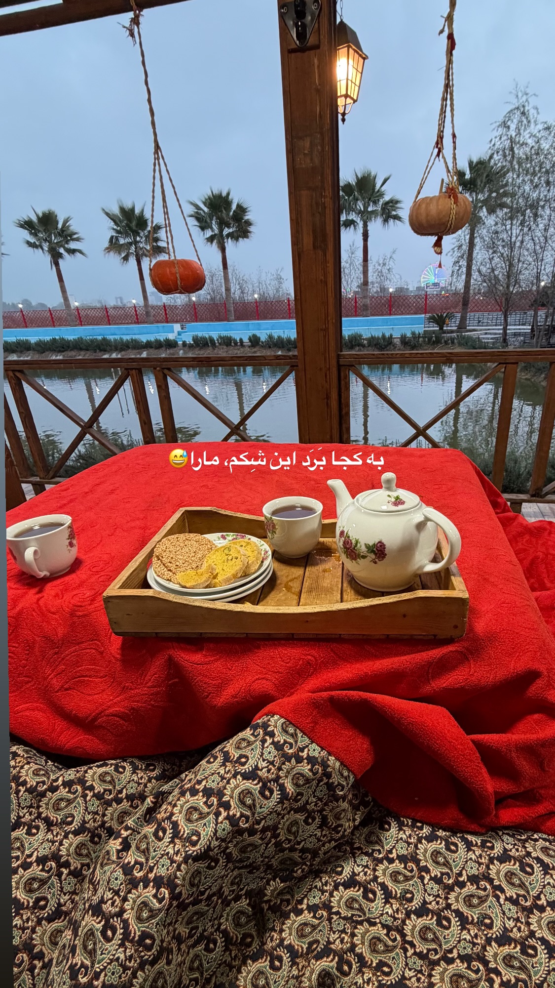  جدید ترین استوری اینستاگرام راضیه جانباز