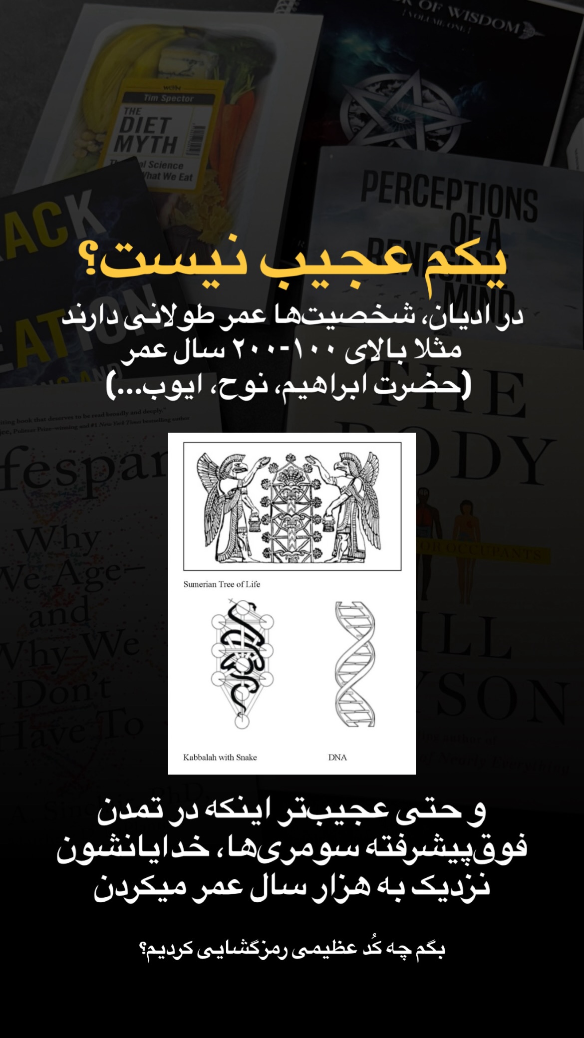  جدید ترین استوری اینستاگرام رنه سینانی