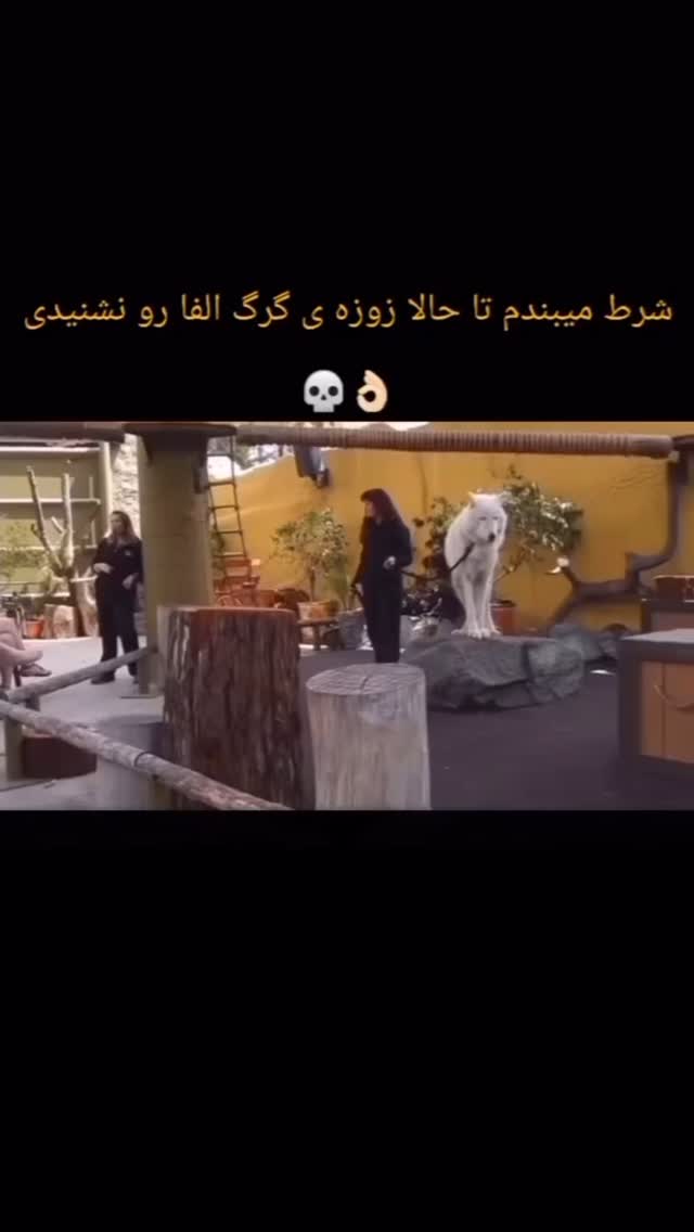  جدید ترین استوری اینستاگرام رشاد عبدالهی