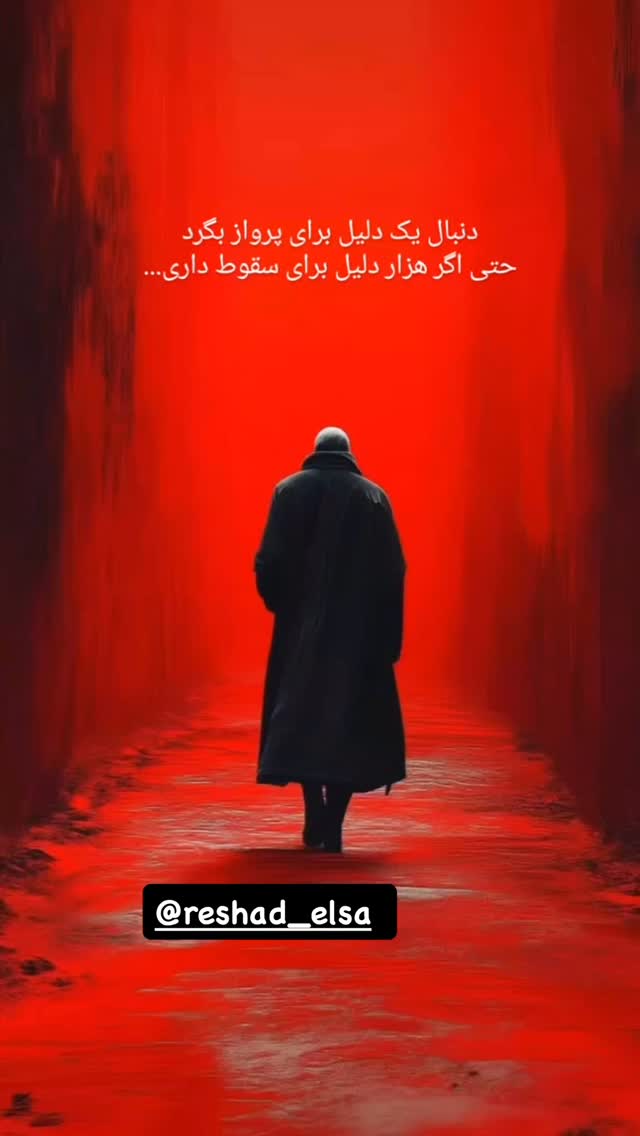  جدید ترین استوری اینستاگرام رشاد عبدالهی