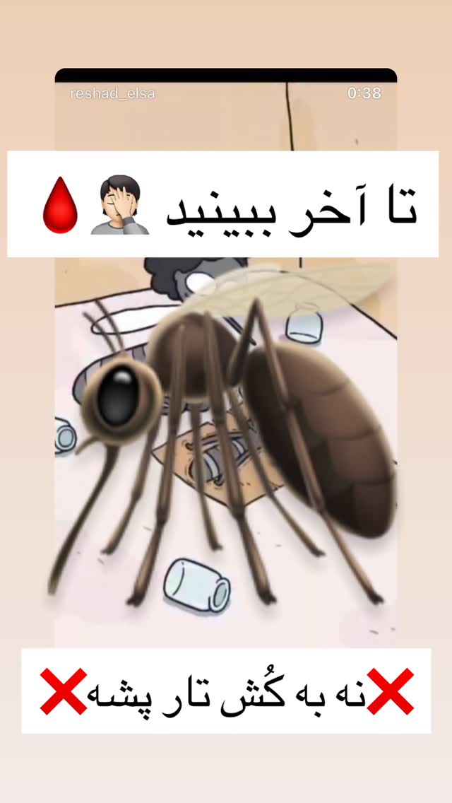  جدید ترین استوری اینستاگرام رشاد عبدالهی