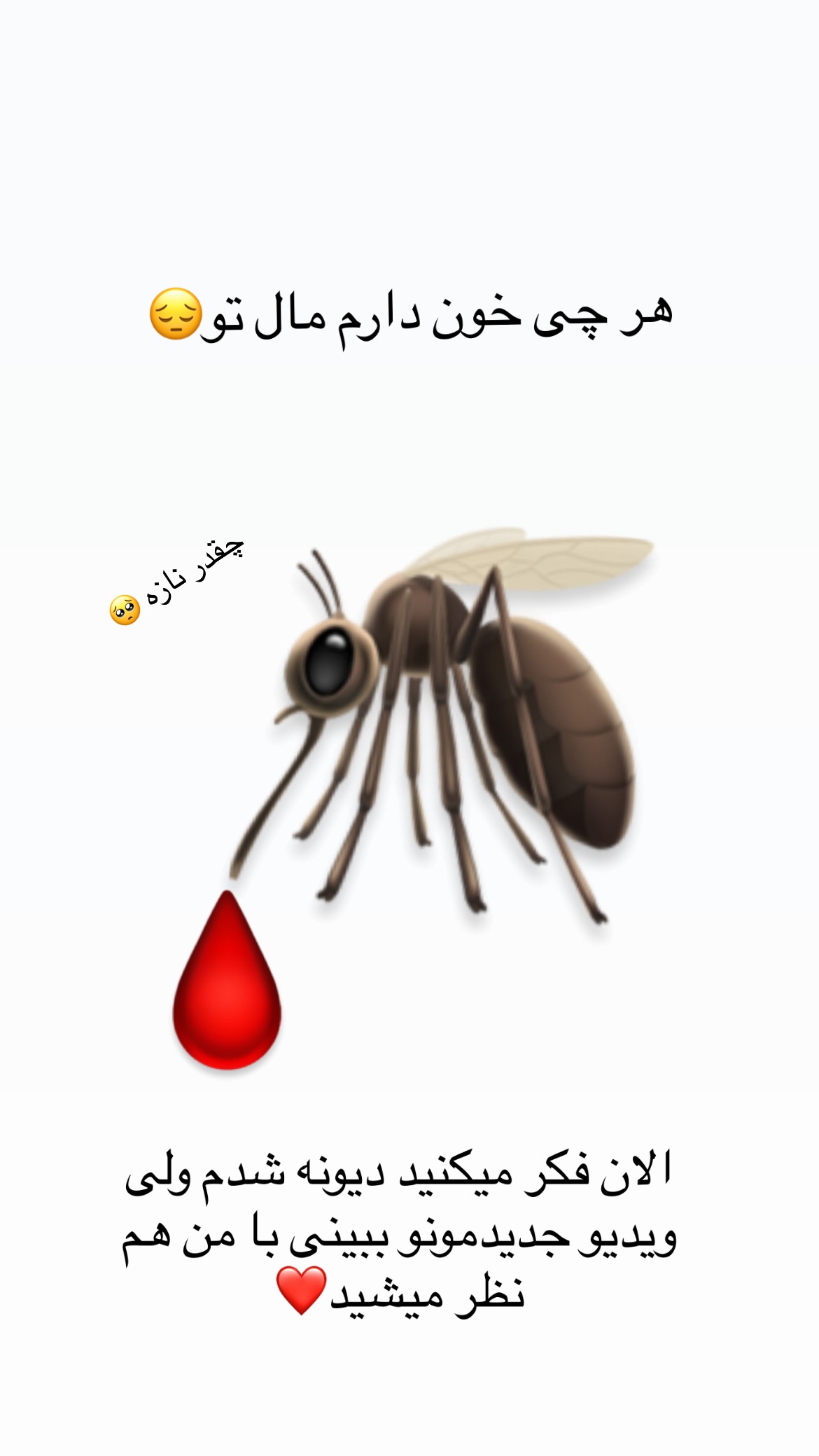  جدید ترین استوری اینستاگرام رشاد عبدالهی