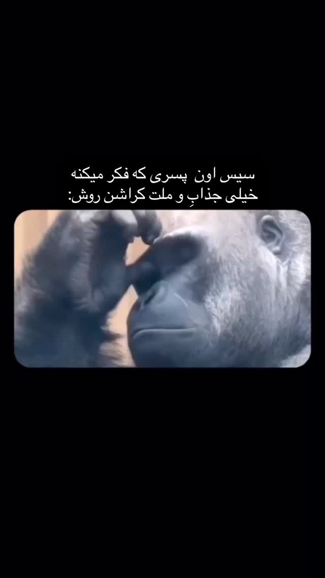  جدید ترین استوری اینستاگرام رشاد عبدالهی