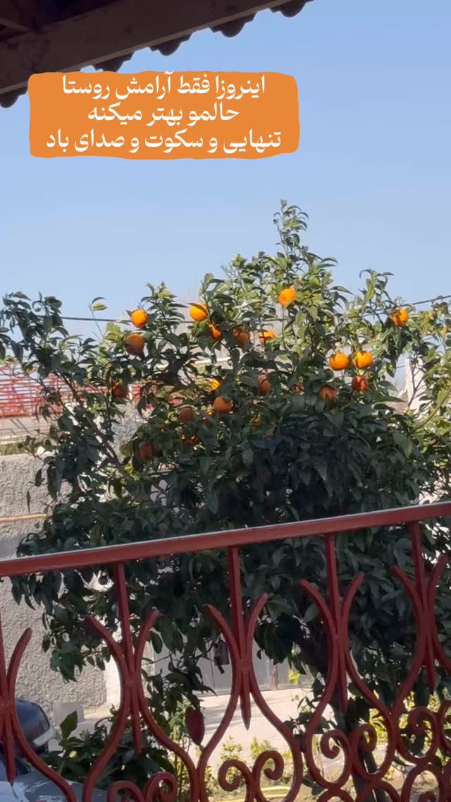  جدید ترین استوری اینستاگرام ریحانه عبدی