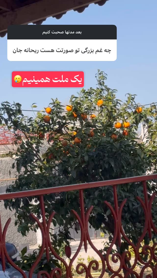 جدید ترین استوری اینستاگرام ریحانه عبدی