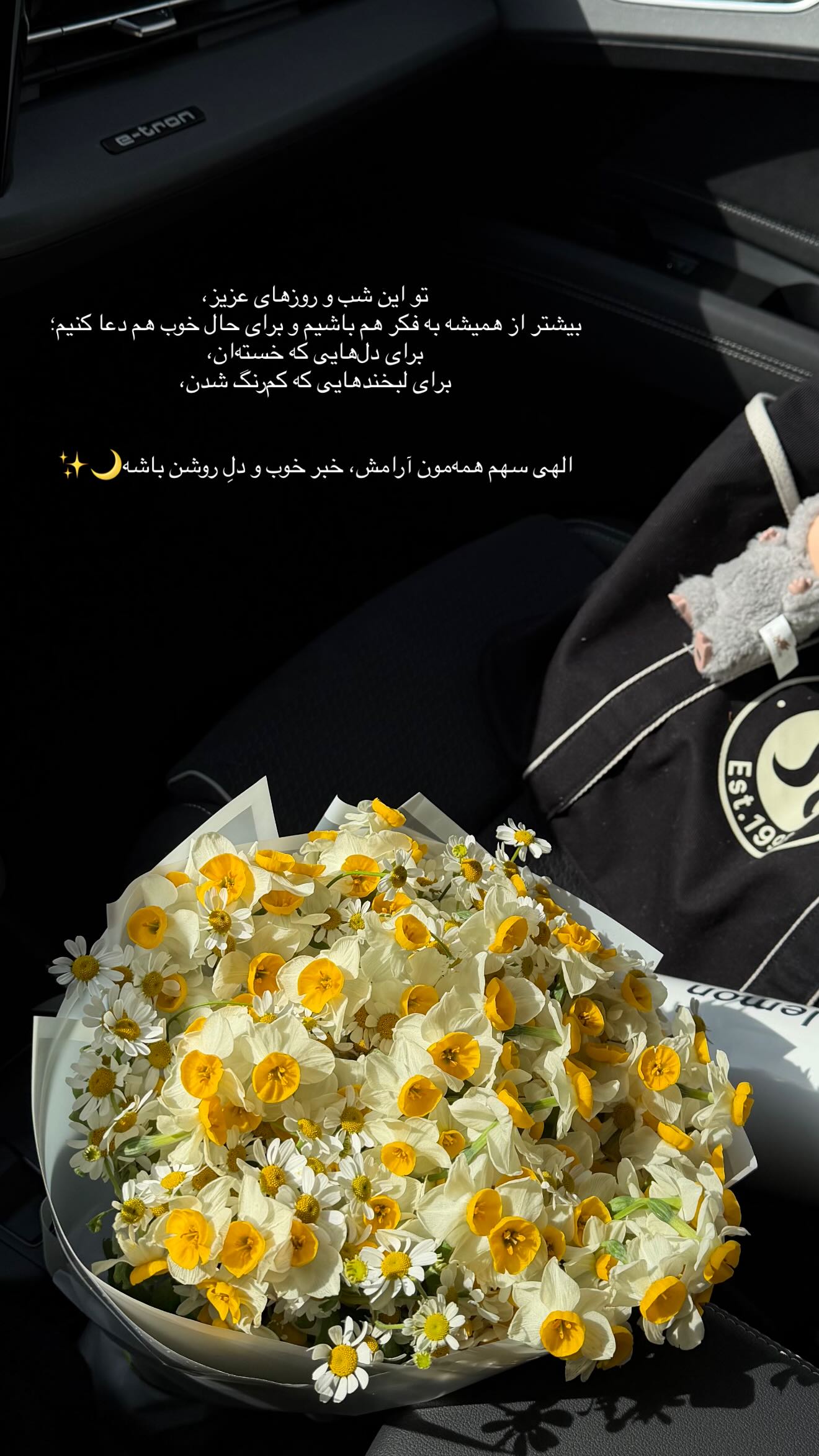  جدید ترین استوری اینستاگرام ریحانه رجب زاده
