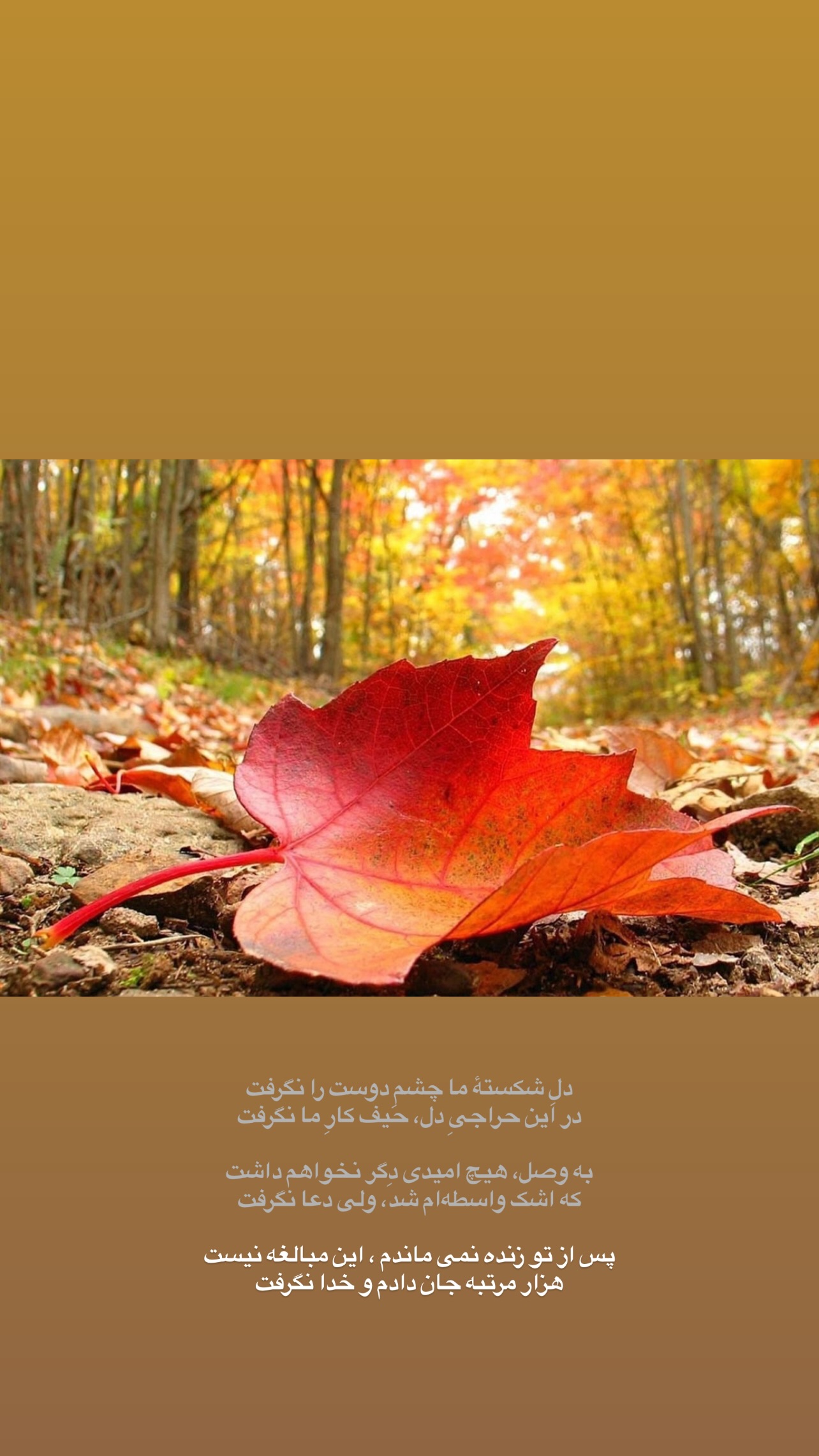  جدید ترین استوری اینستاگرام رضا نقی پور