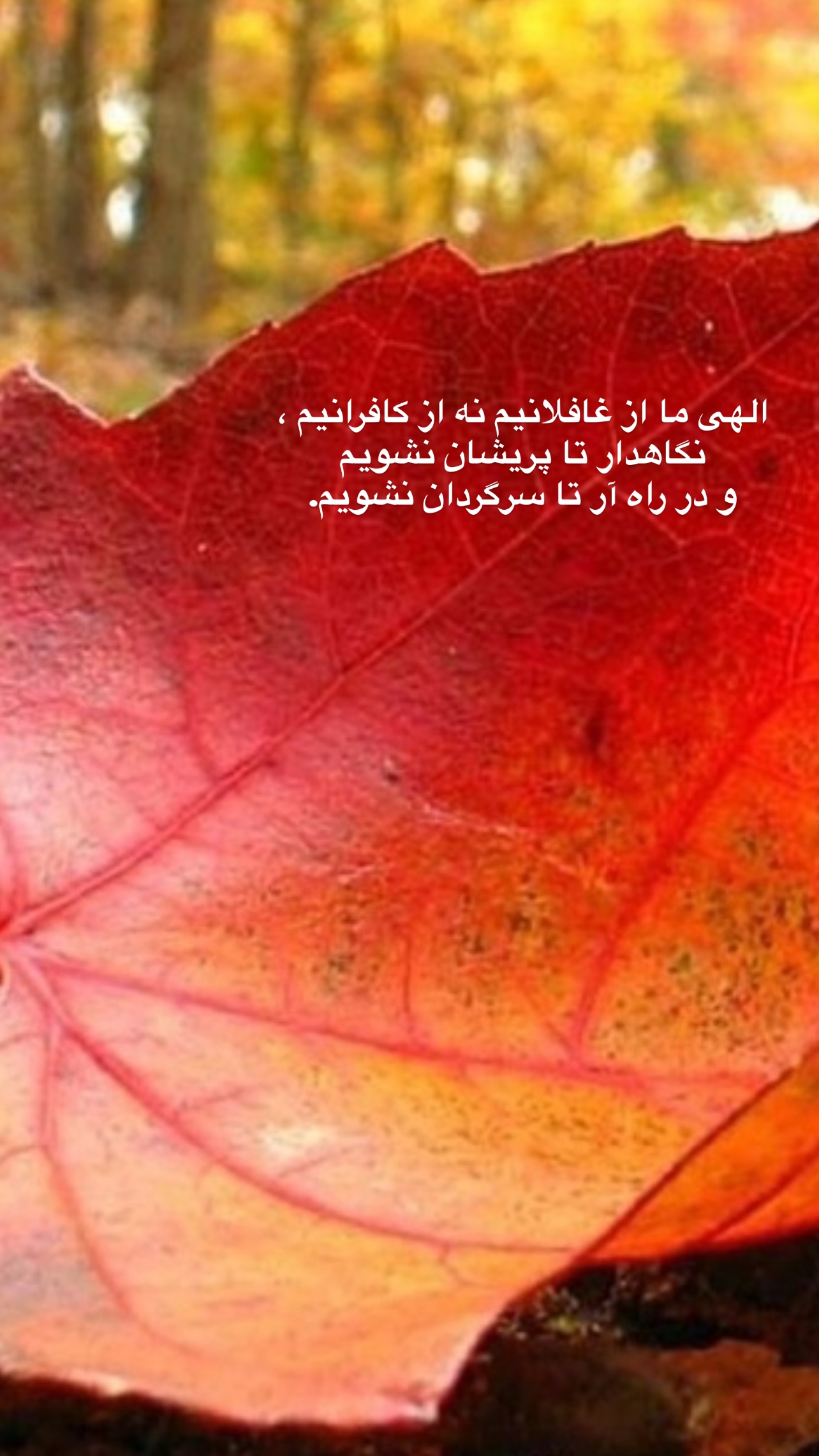  جدید ترین استوری اینستاگرام رضا نقی پور