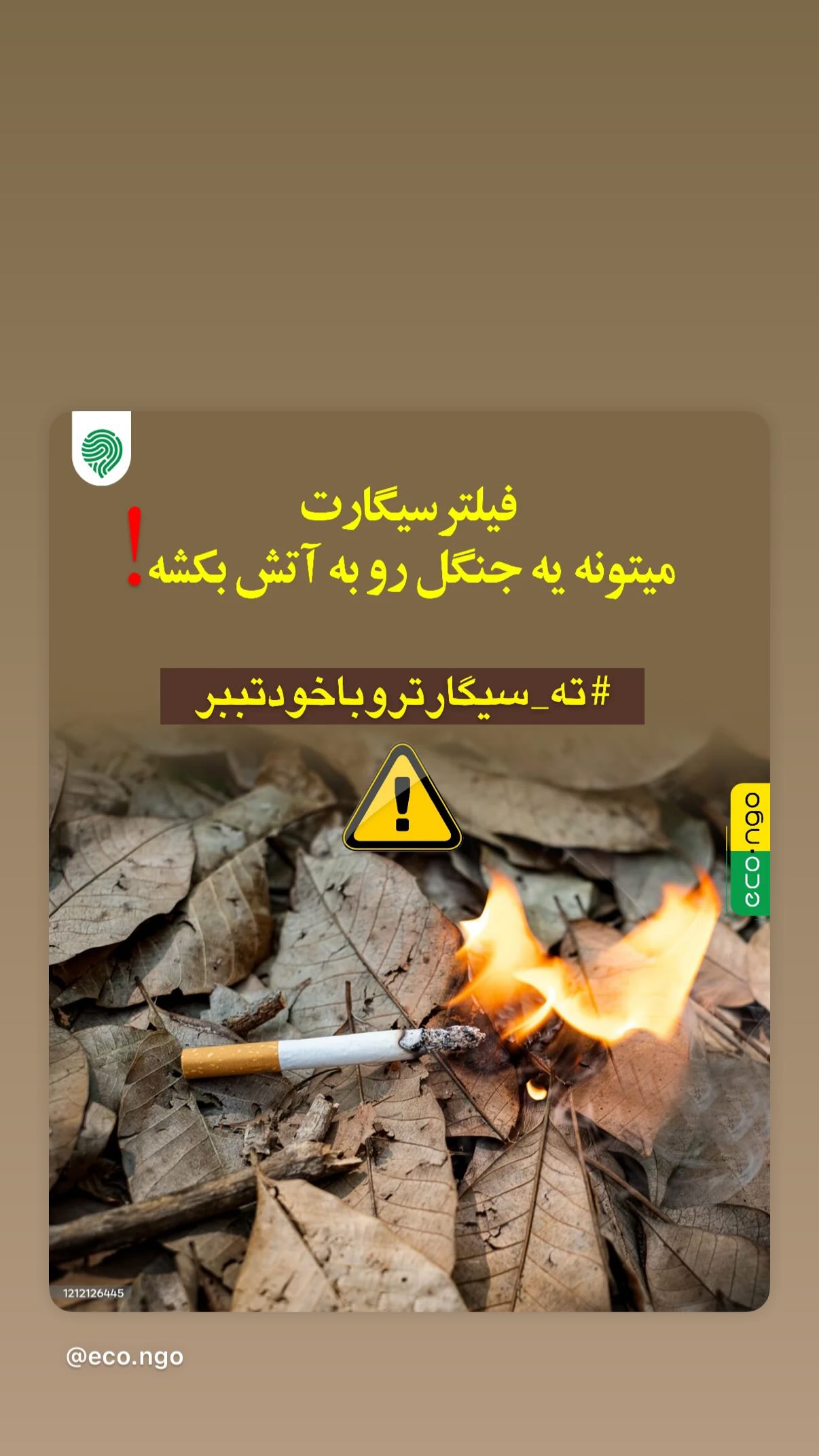  جدید ترین استوری اینستاگرام رضا كيانيان