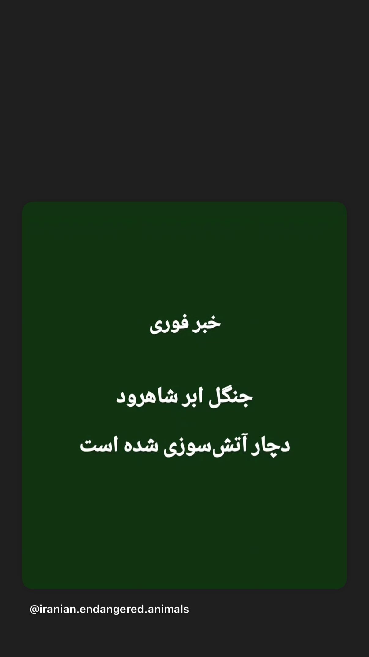  جدید ترین استوری اینستاگرام رضا كيانيان