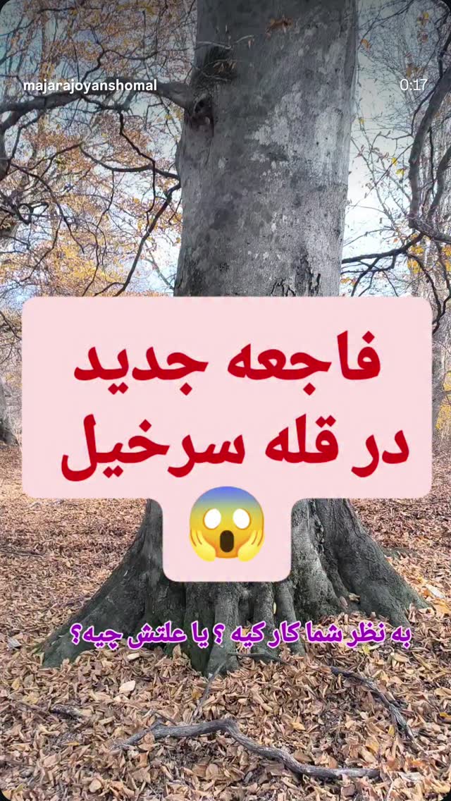  جدید ترین استوری اینستاگرام رضا كيانيان