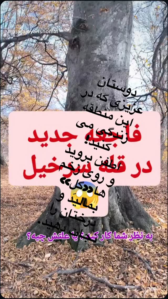  جدید ترین استوری اینستاگرام رضا كيانيان