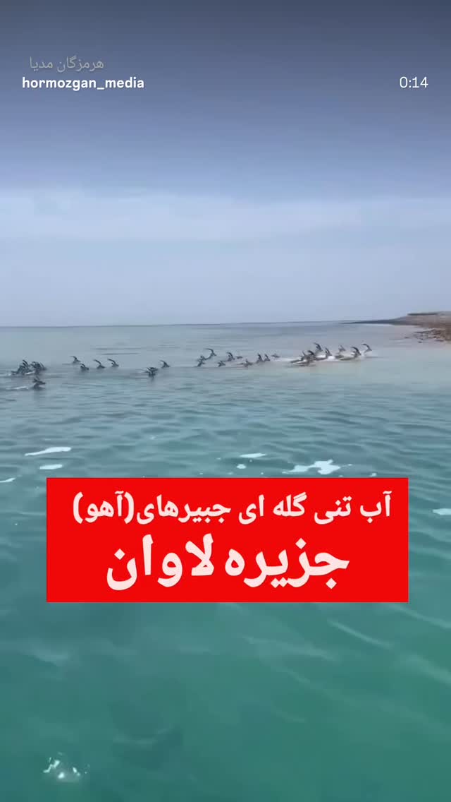  جدید ترین استوری اینستاگرام رضا كيانيان