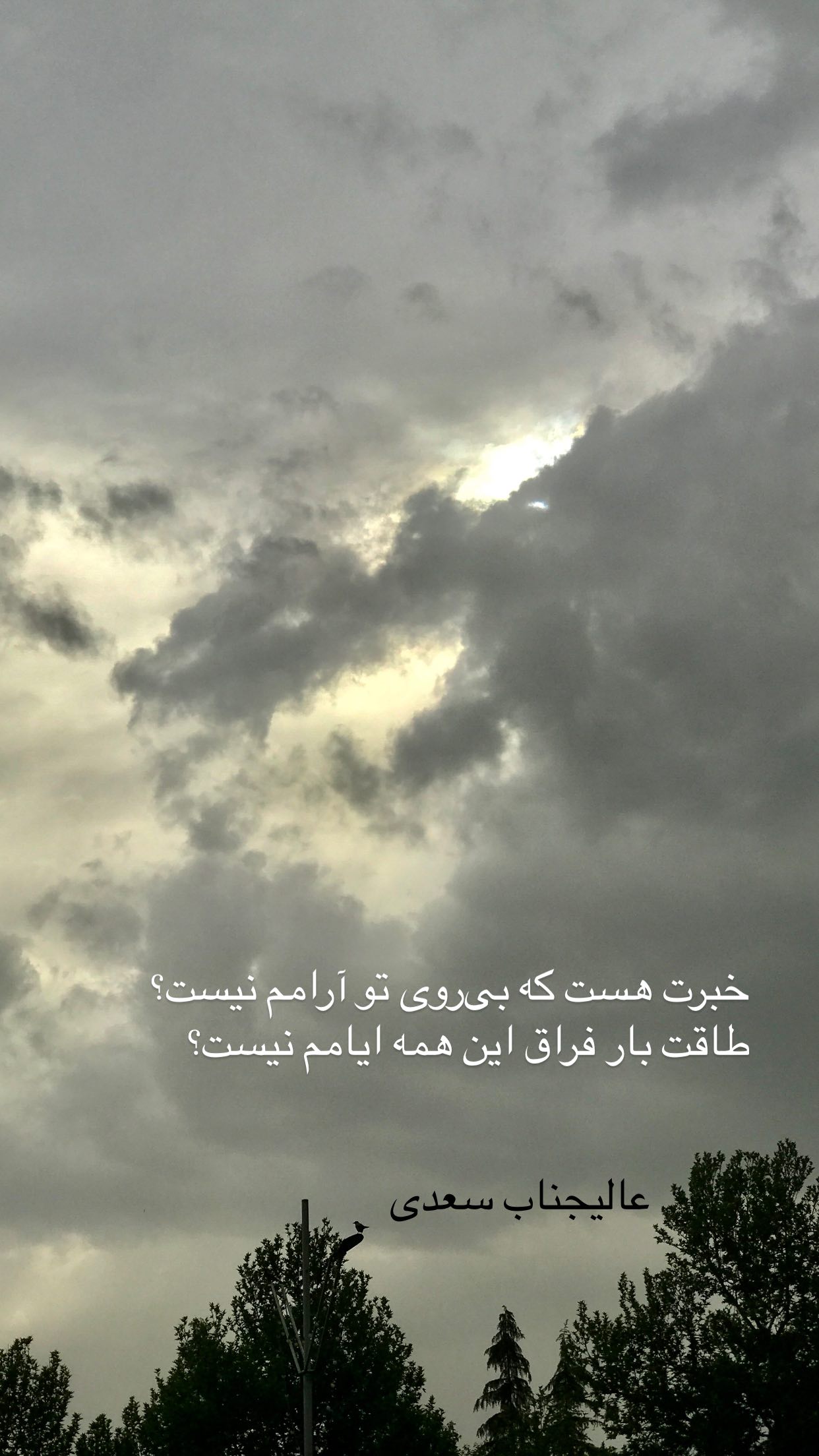  جدید ترین استوری اینستاگرام رضا مکتبی