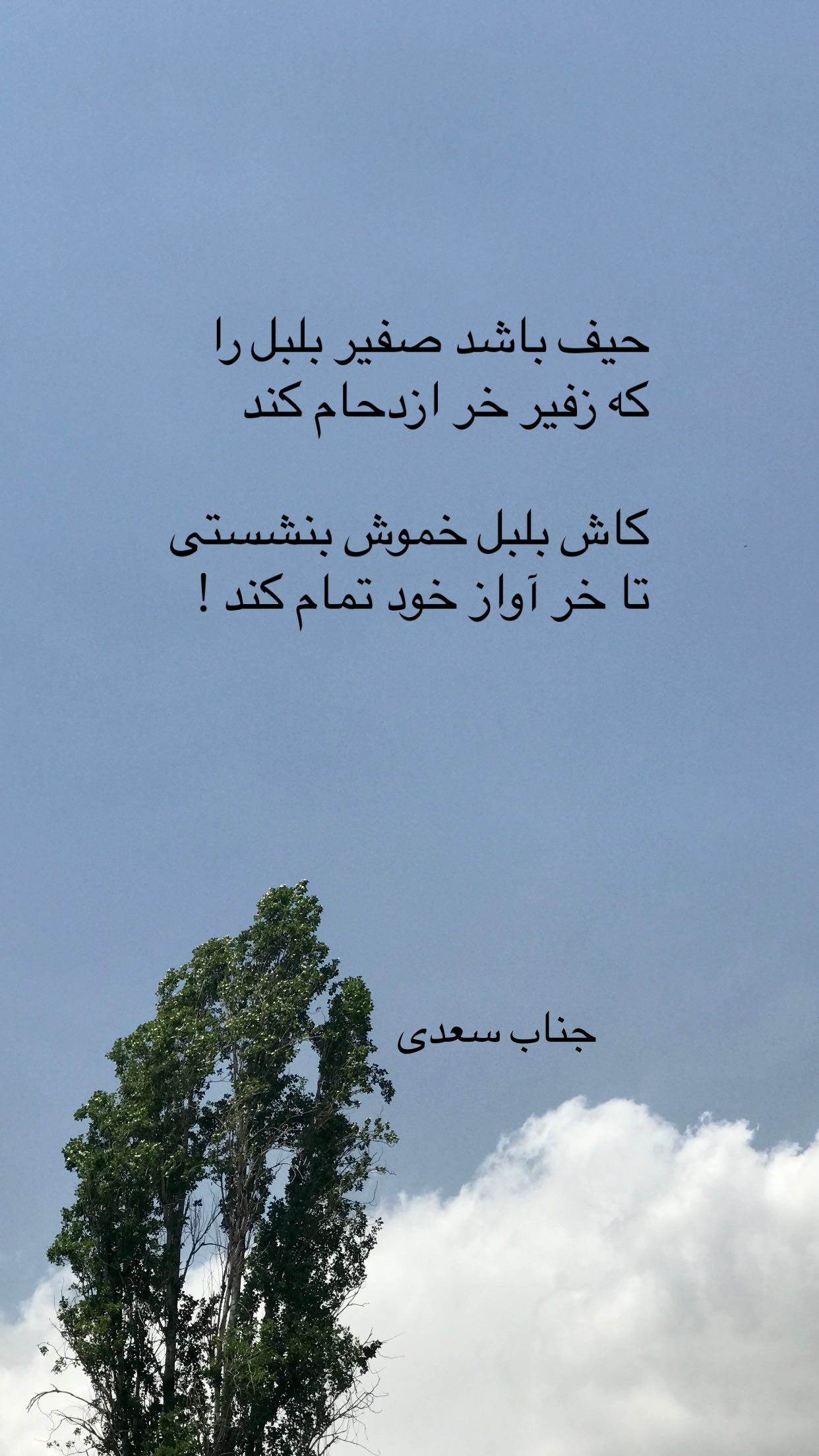  جدید ترین استوری اینستاگرام رضا مکتبی
