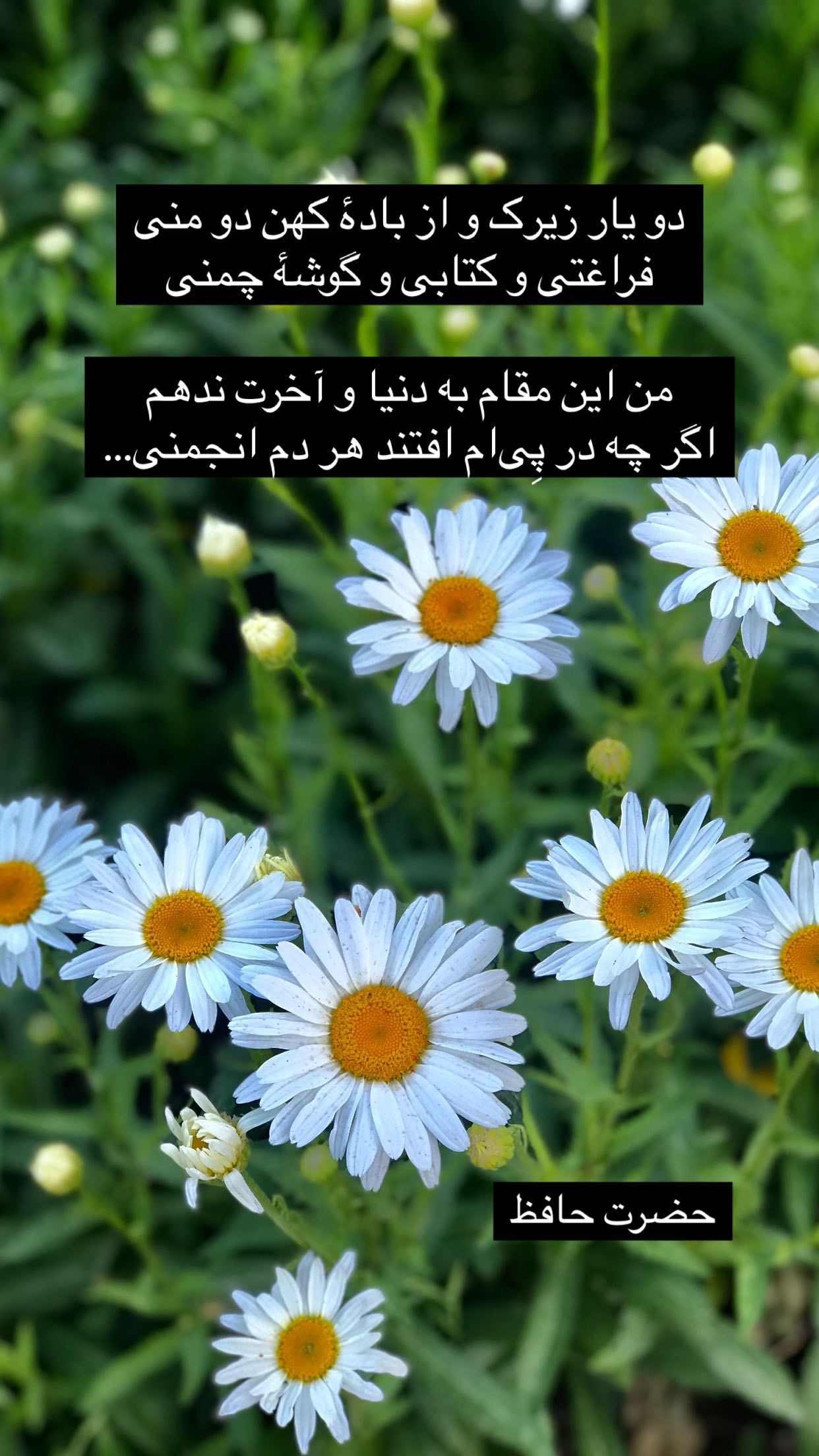  جدید ترین استوری اینستاگرام رضا مکتبی