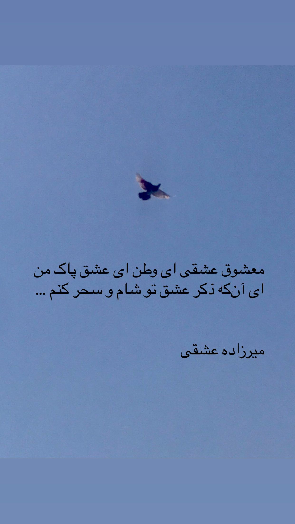  جدید ترین استوری اینستاگرام رضا مکتبی