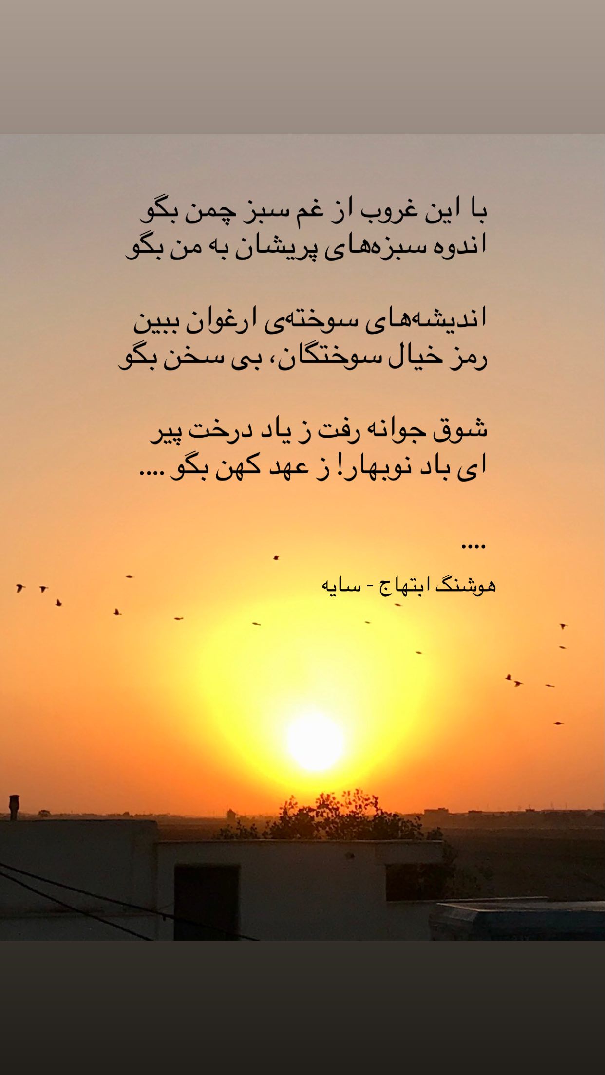  جدید ترین استوری اینستاگرام رضا مکتبی