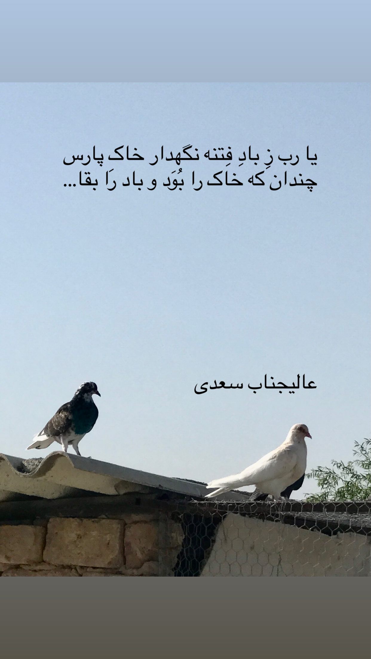  جدید ترین استوری اینستاگرام رضا مکتبی