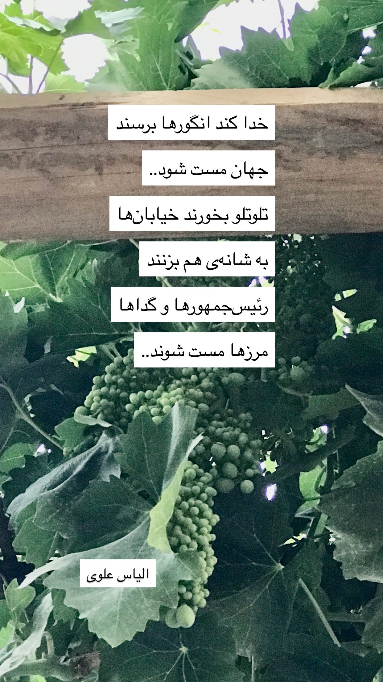  جدید ترین استوری اینستاگرام رضا مکتبی