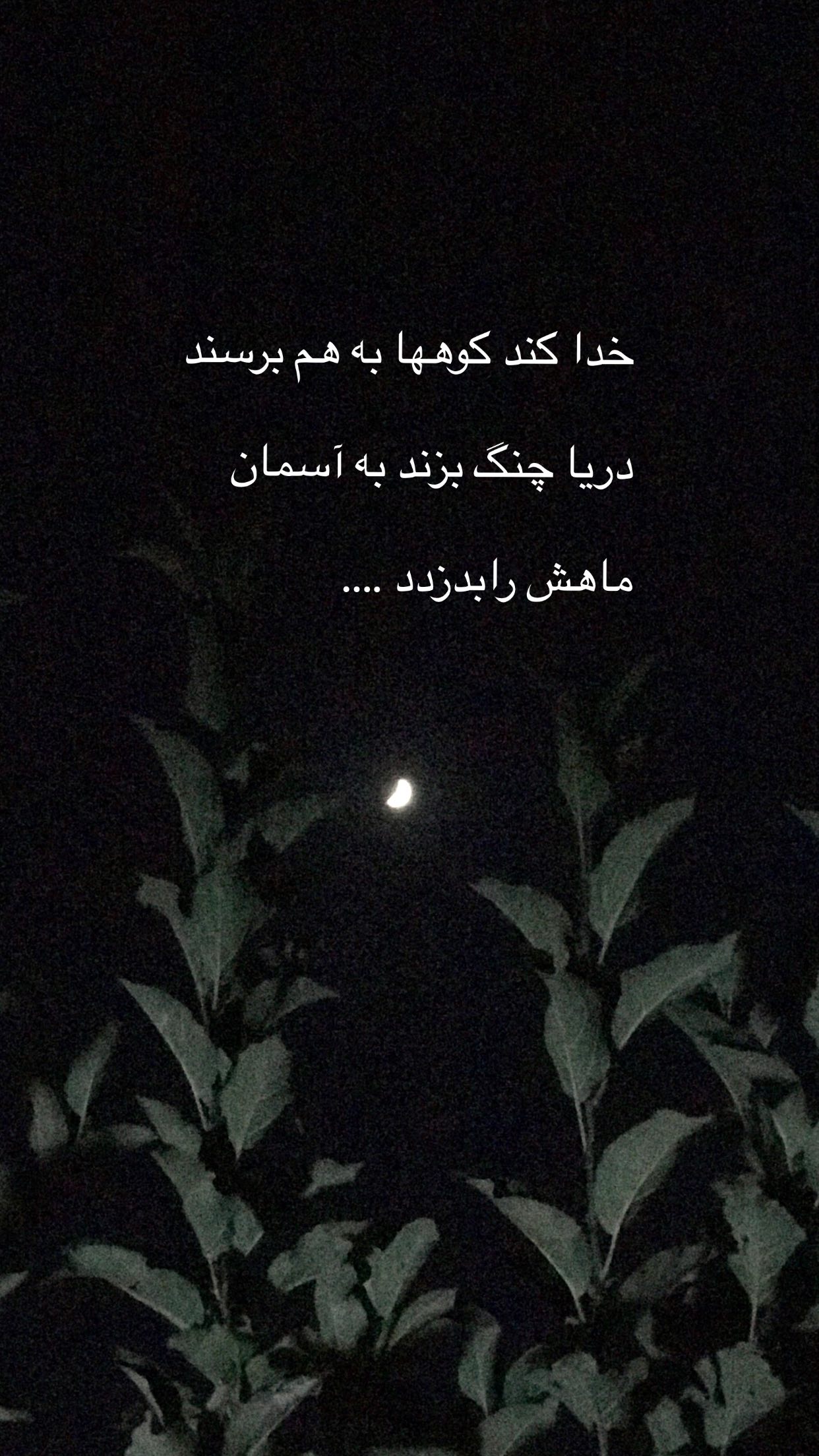  جدید ترین استوری اینستاگرام رضا مکتبی