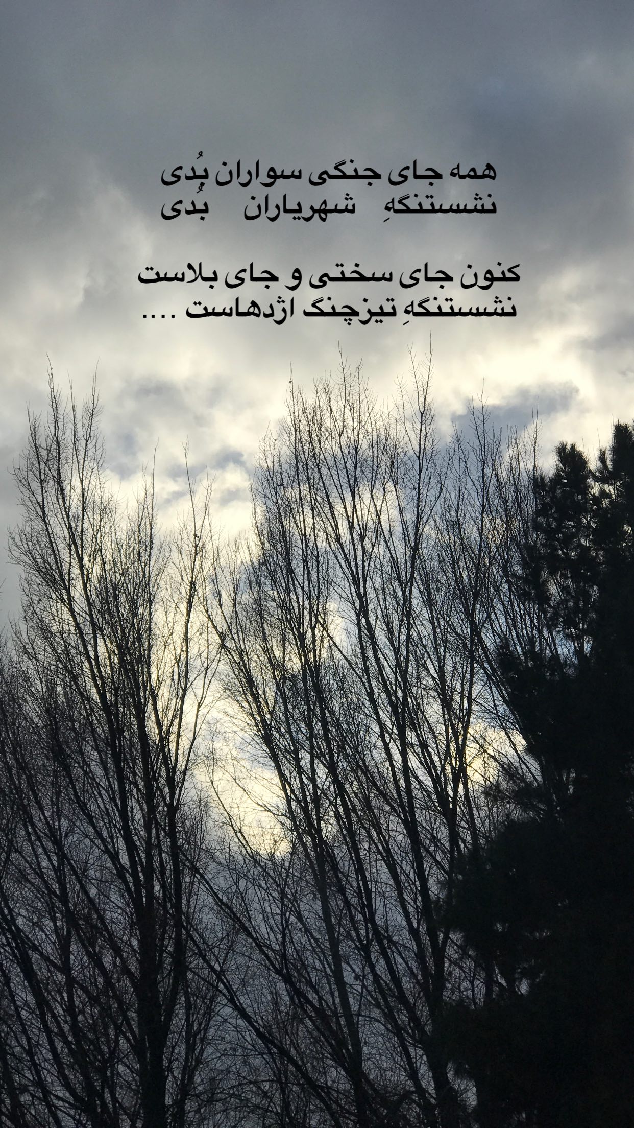  جدید ترین استوری اینستاگرام رضا مکتبی