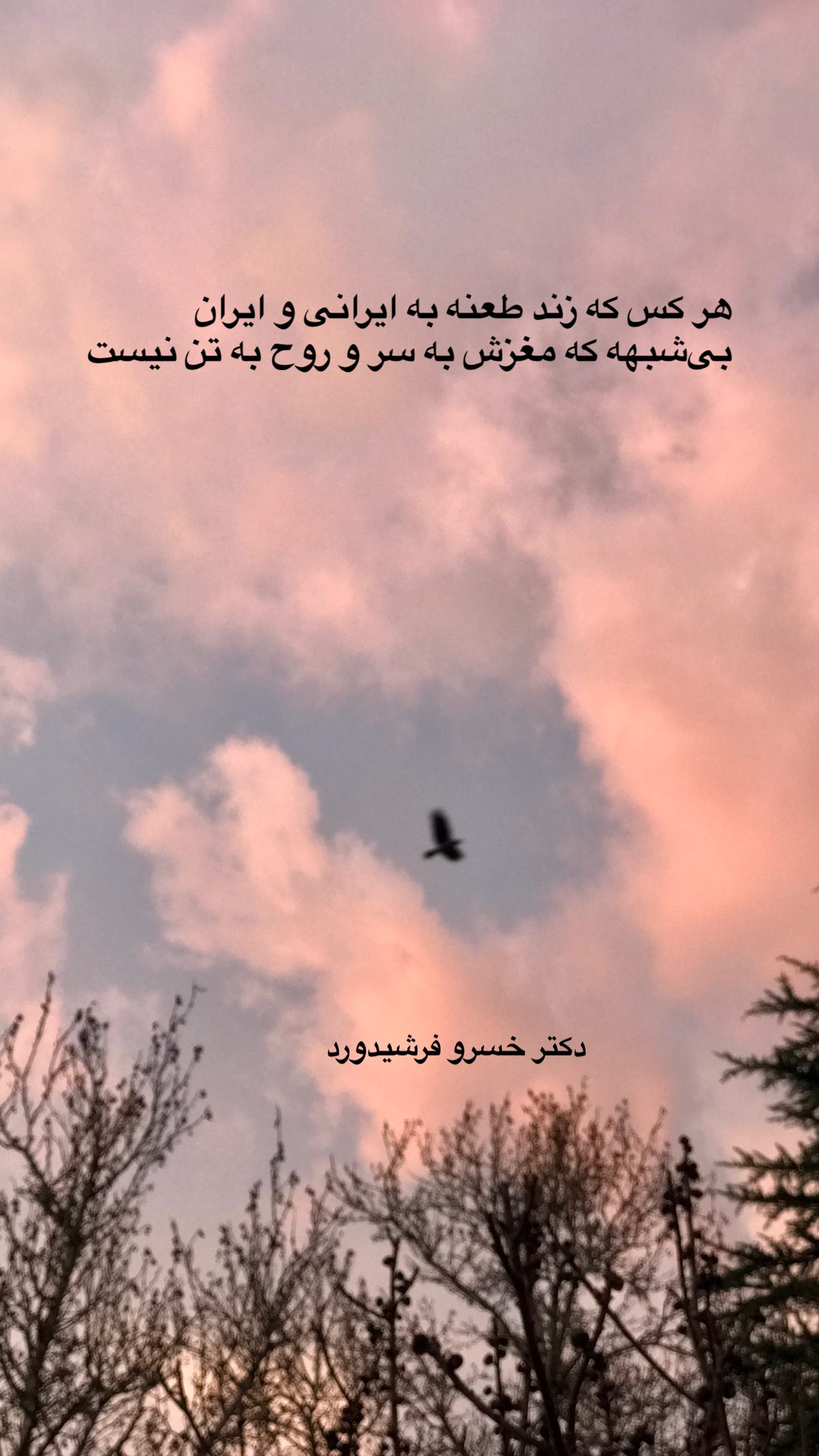  جدید ترین استوری اینستاگرام رضا مکتبی