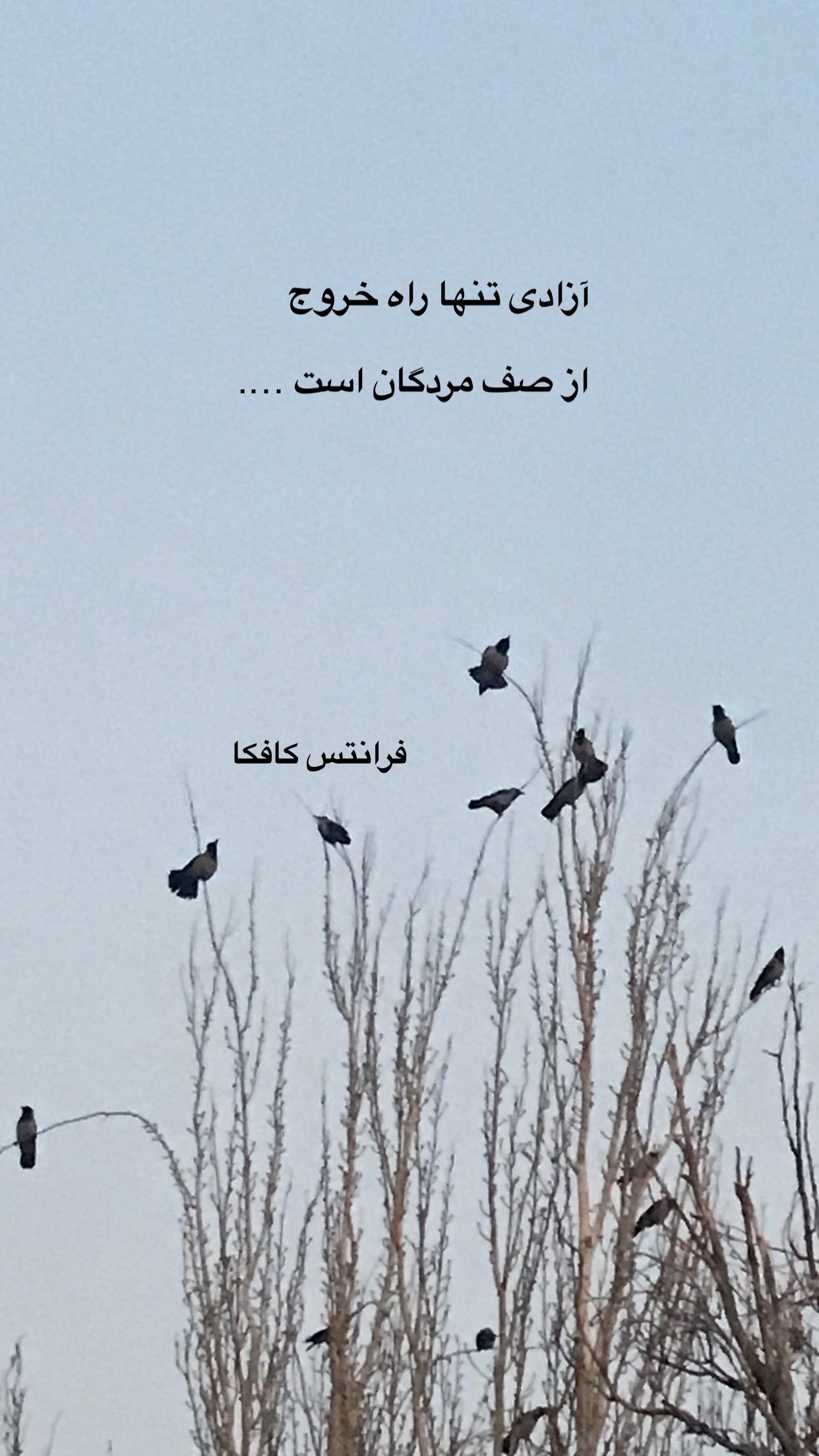  جدید ترین استوری اینستاگرام رضا مکتبی