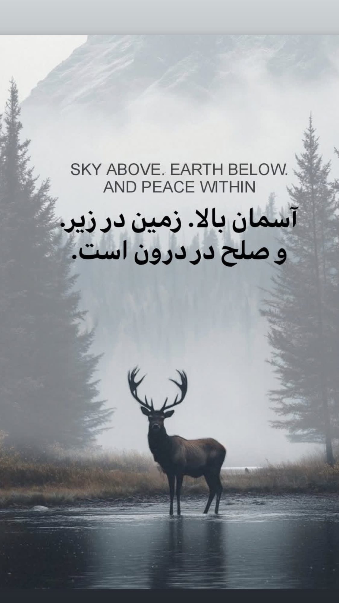  جدید ترین استوری اینستاگرام رضا علیپور