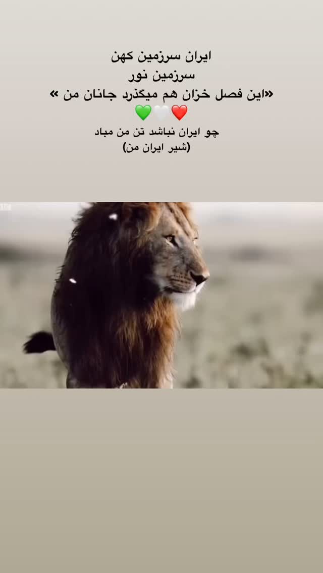  جدید ترین استوری اینستاگرام رضا علیپور
