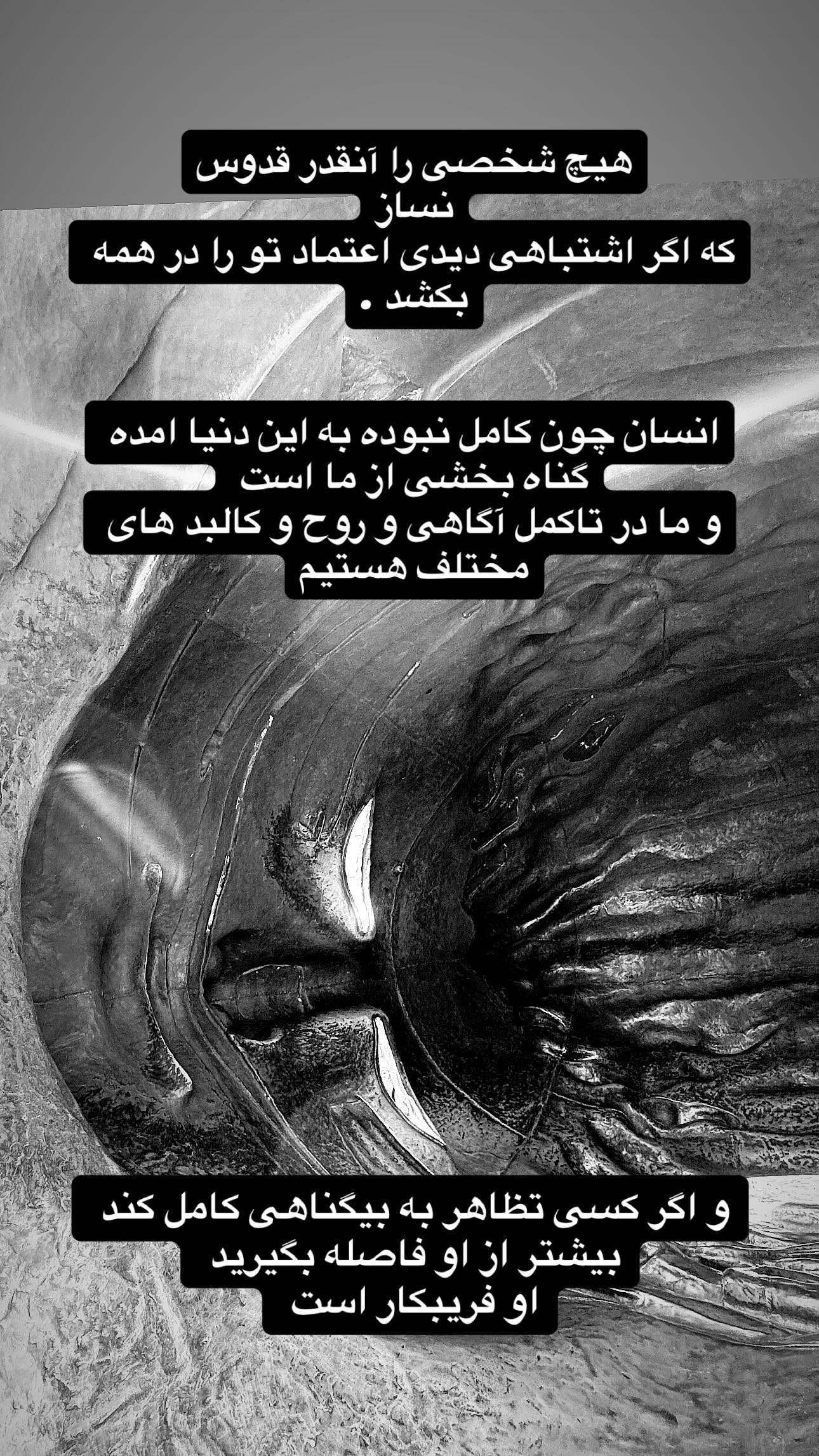  جدید ترین استوری اینستاگرام رضا علیپور