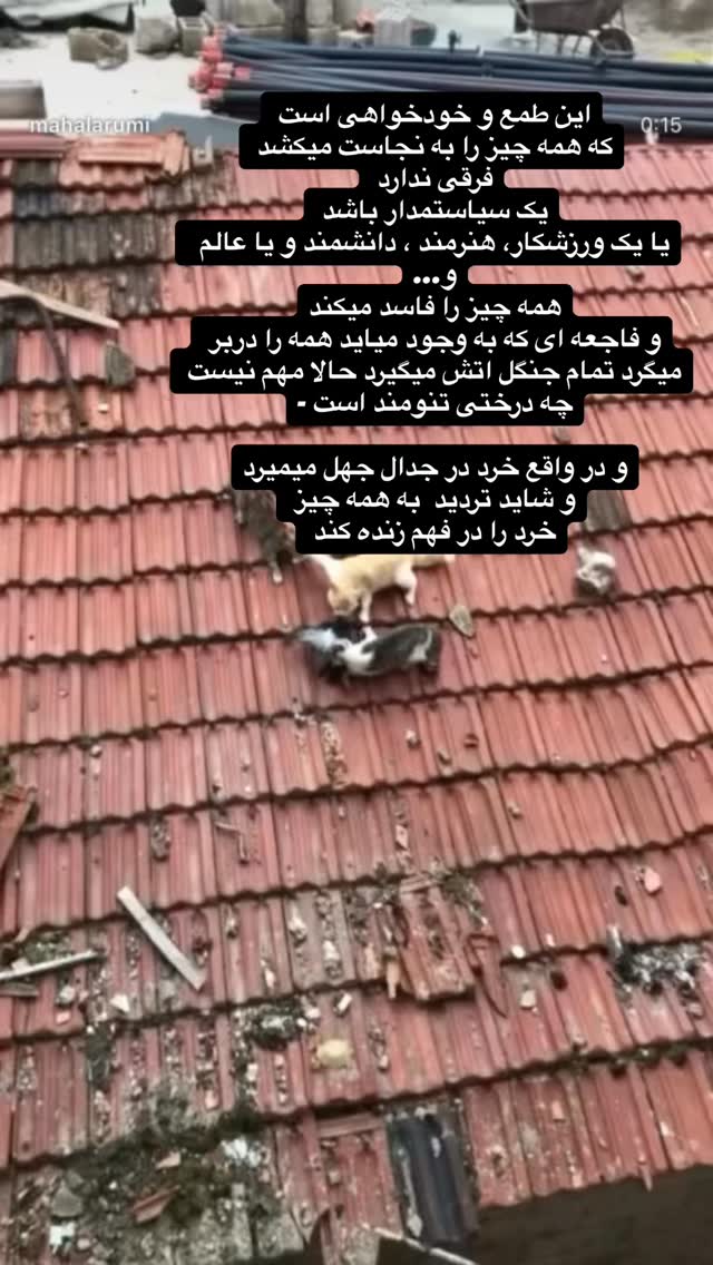  جدید ترین استوری اینستاگرام رضا علیپور