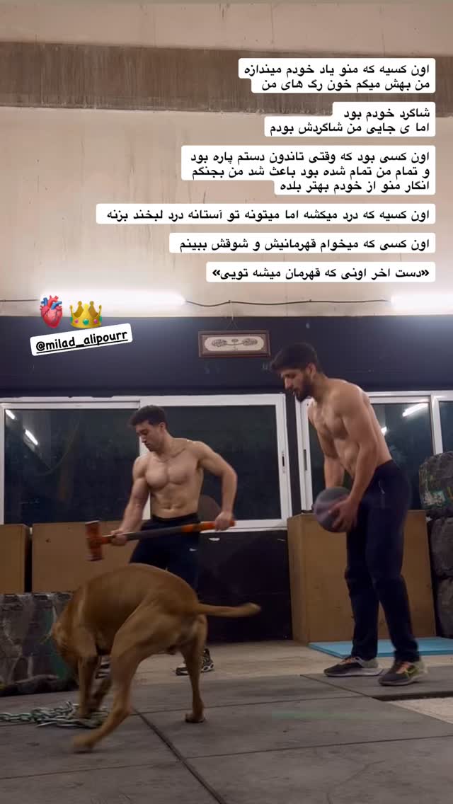  جدید ترین استوری اینستاگرام رضا علیپور