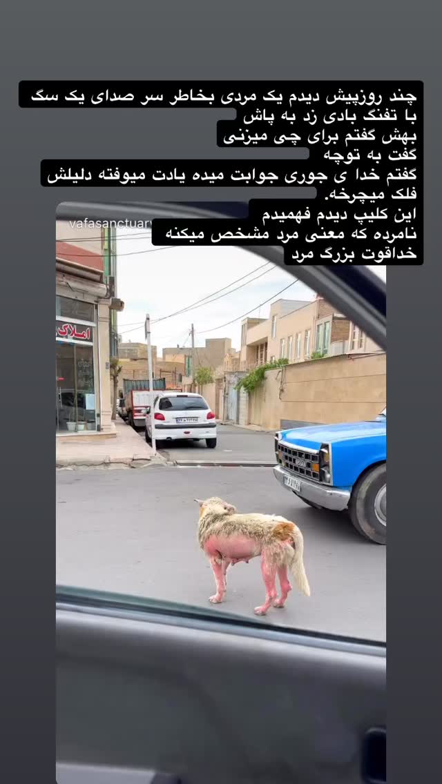  جدید ترین استوری اینستاگرام رضا علیپور