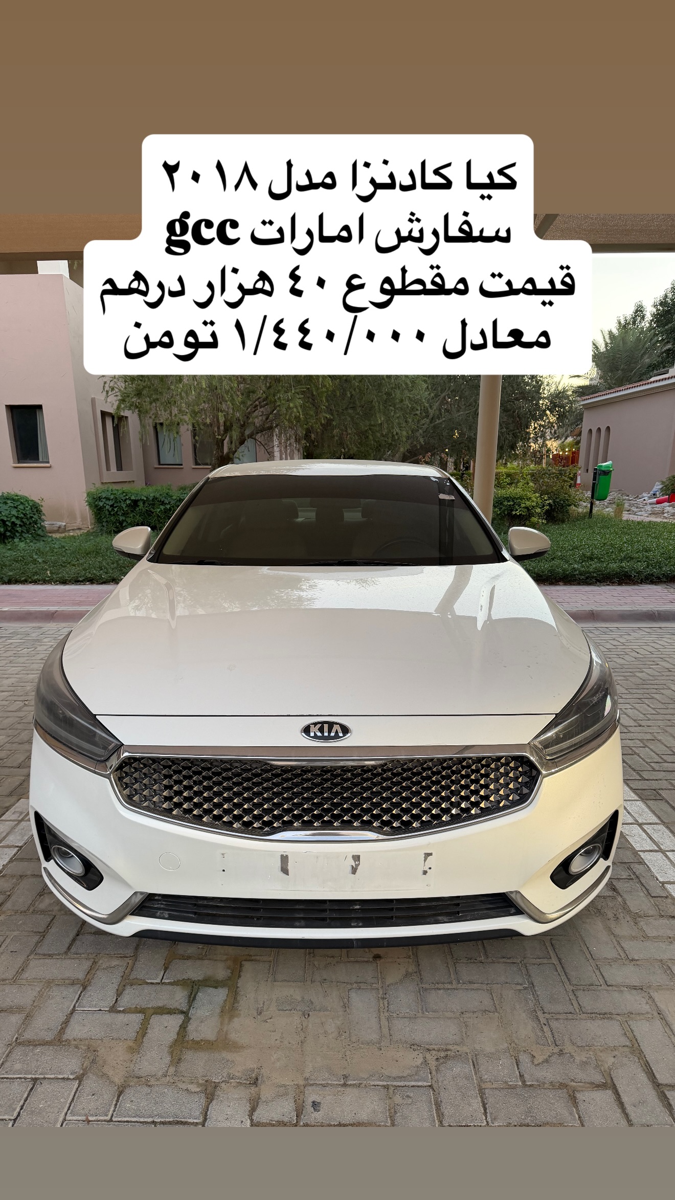  جدید ترین استوری اینستاگرام محمد حسن رضایی فرد