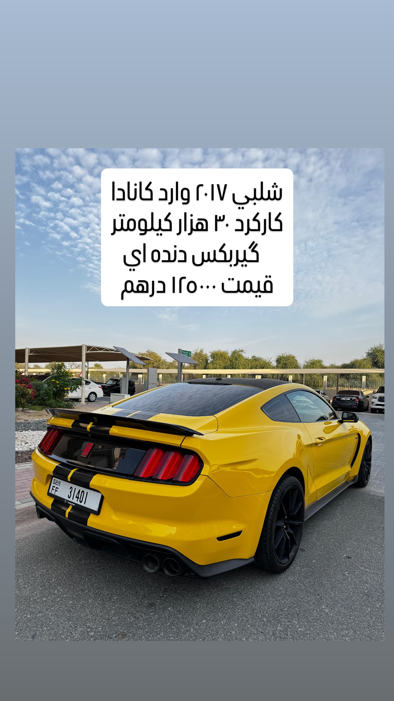  جدید ترین استوری اینستاگرام محمد حسن رضایی فرد