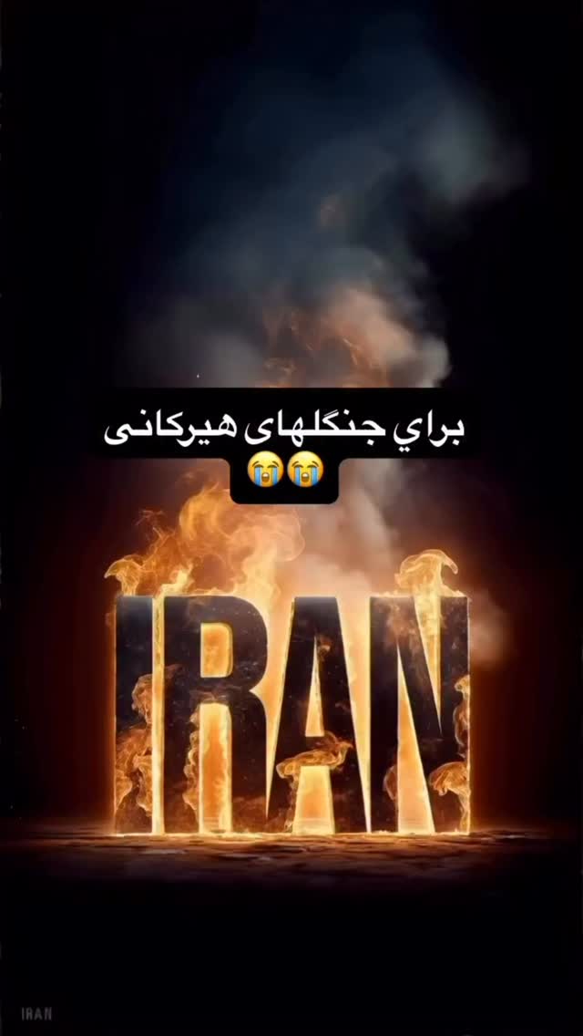  جدید ترین استوری اینستاگرام محمد رضا گلزار
