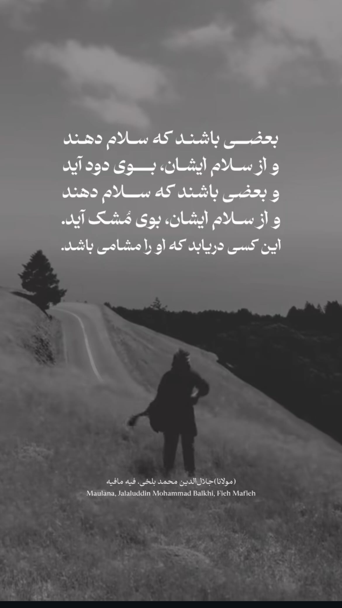  جدید ترین استوری اینستاگرام رضا گوران