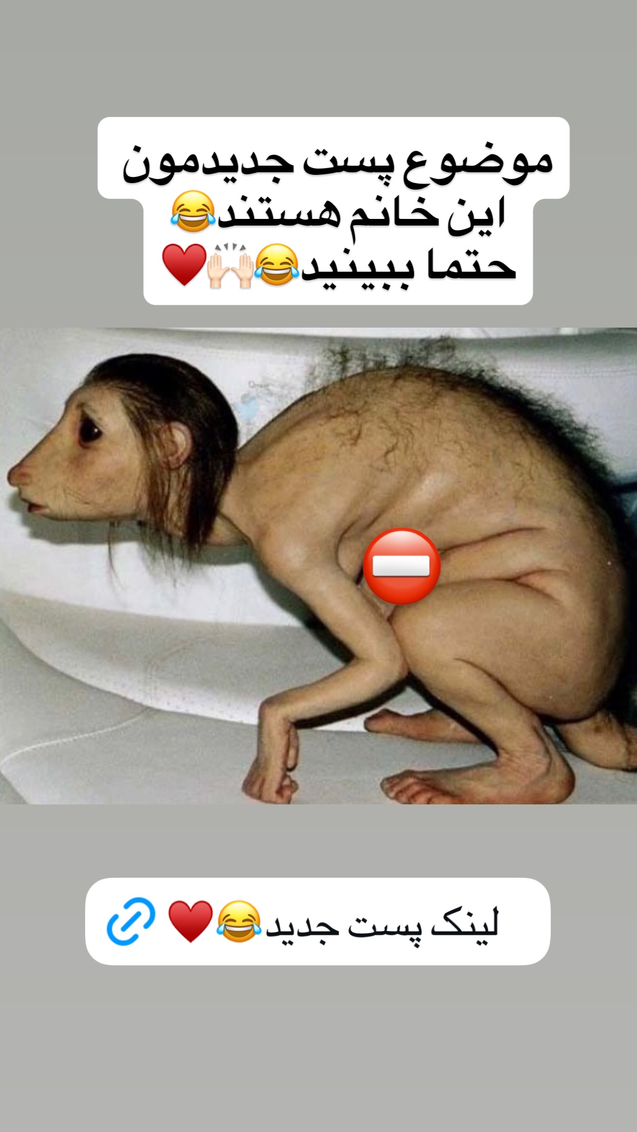  جدید ترین استوری اینستاگرام رضا نظری