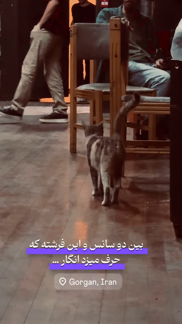  جدید ترین استوری اینستاگرام رضا صادقی