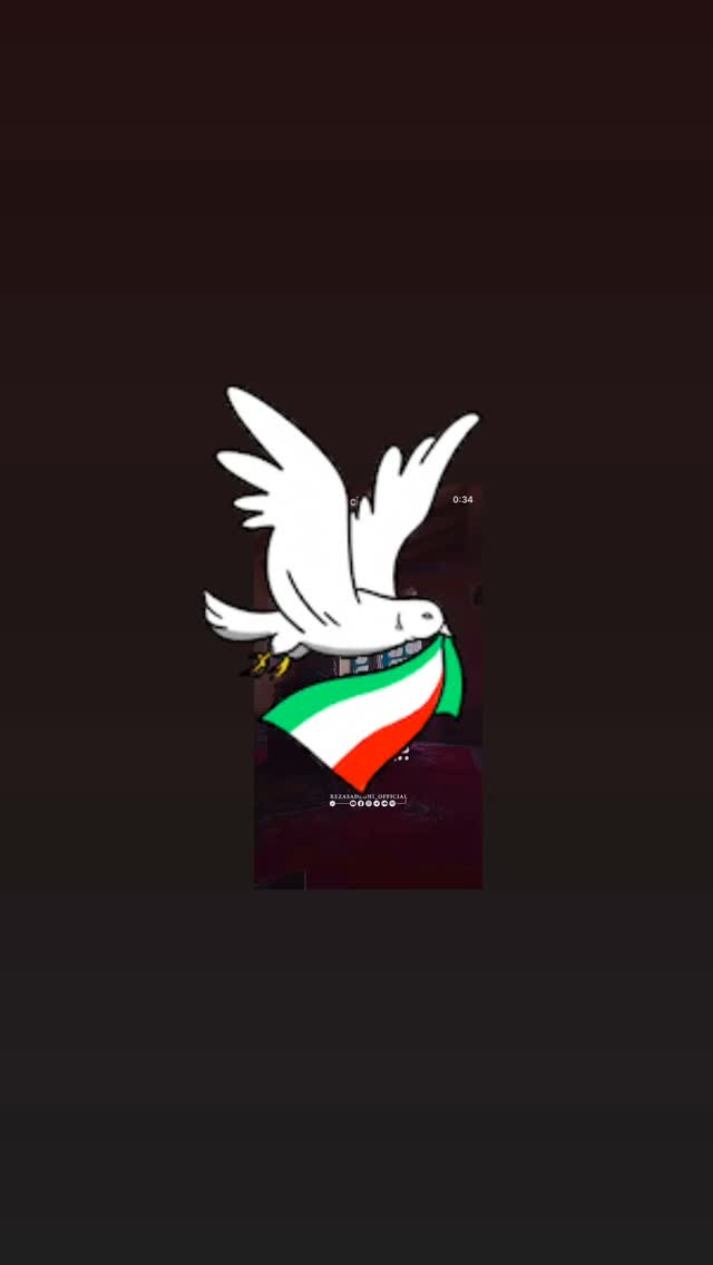  جدید ترین استوری اینستاگرام رضا صادقی