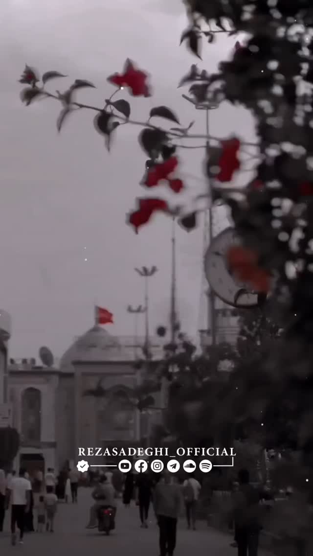  جدید ترین استوری اینستاگرام رضا صادقی