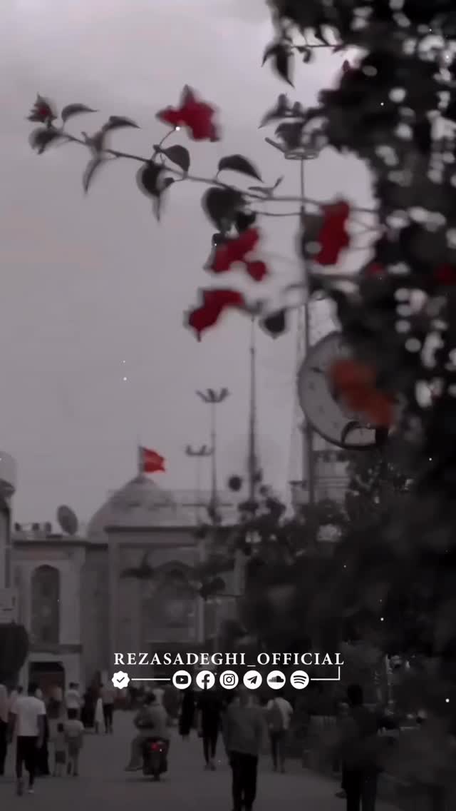  جدید ترین استوری اینستاگرام رضا صادقی