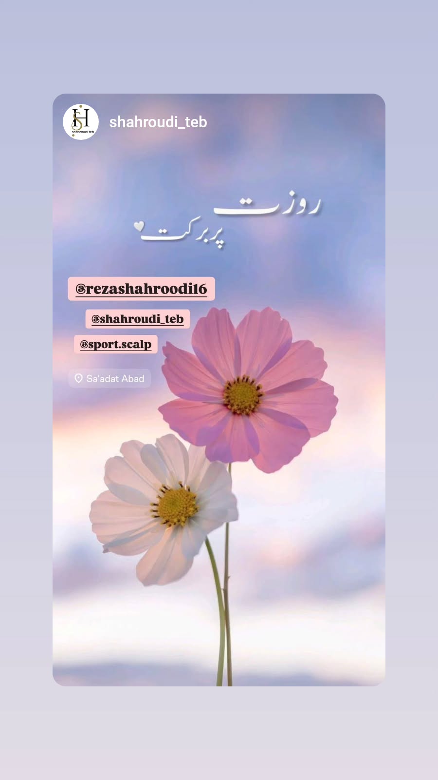  جدید ترین استوری اینستاگرام رضا شاهرودی