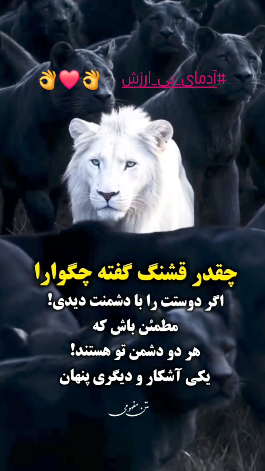  جدید ترین استوری اینستاگرام رضا شاهرودی