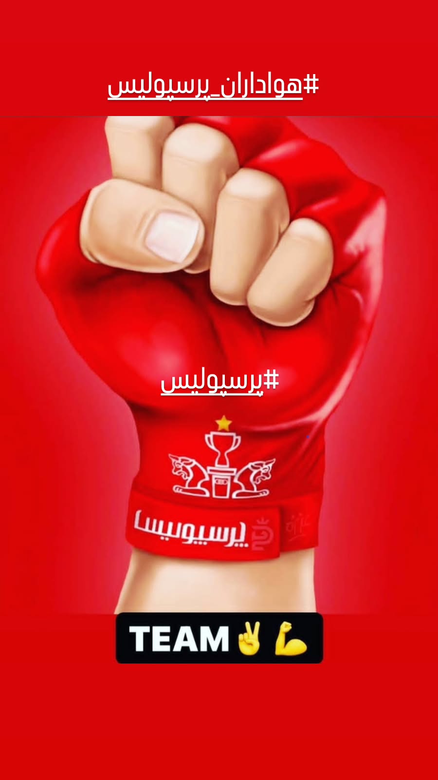  جدید ترین استوری اینستاگرام رضا شاهرودی