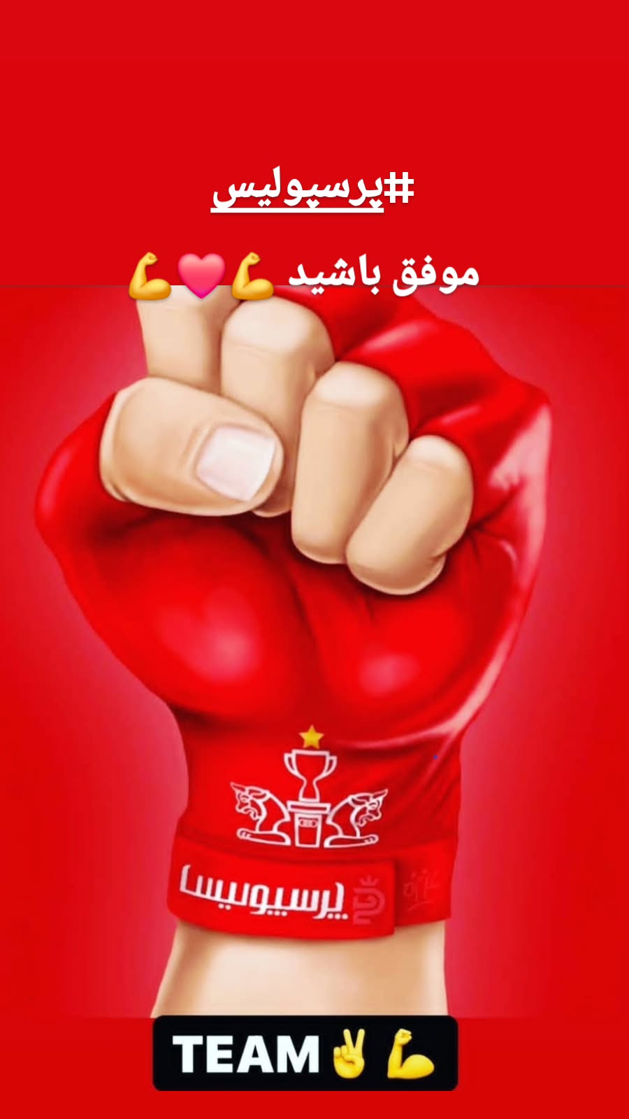  جدید ترین استوری اینستاگرام رضا شاهرودی