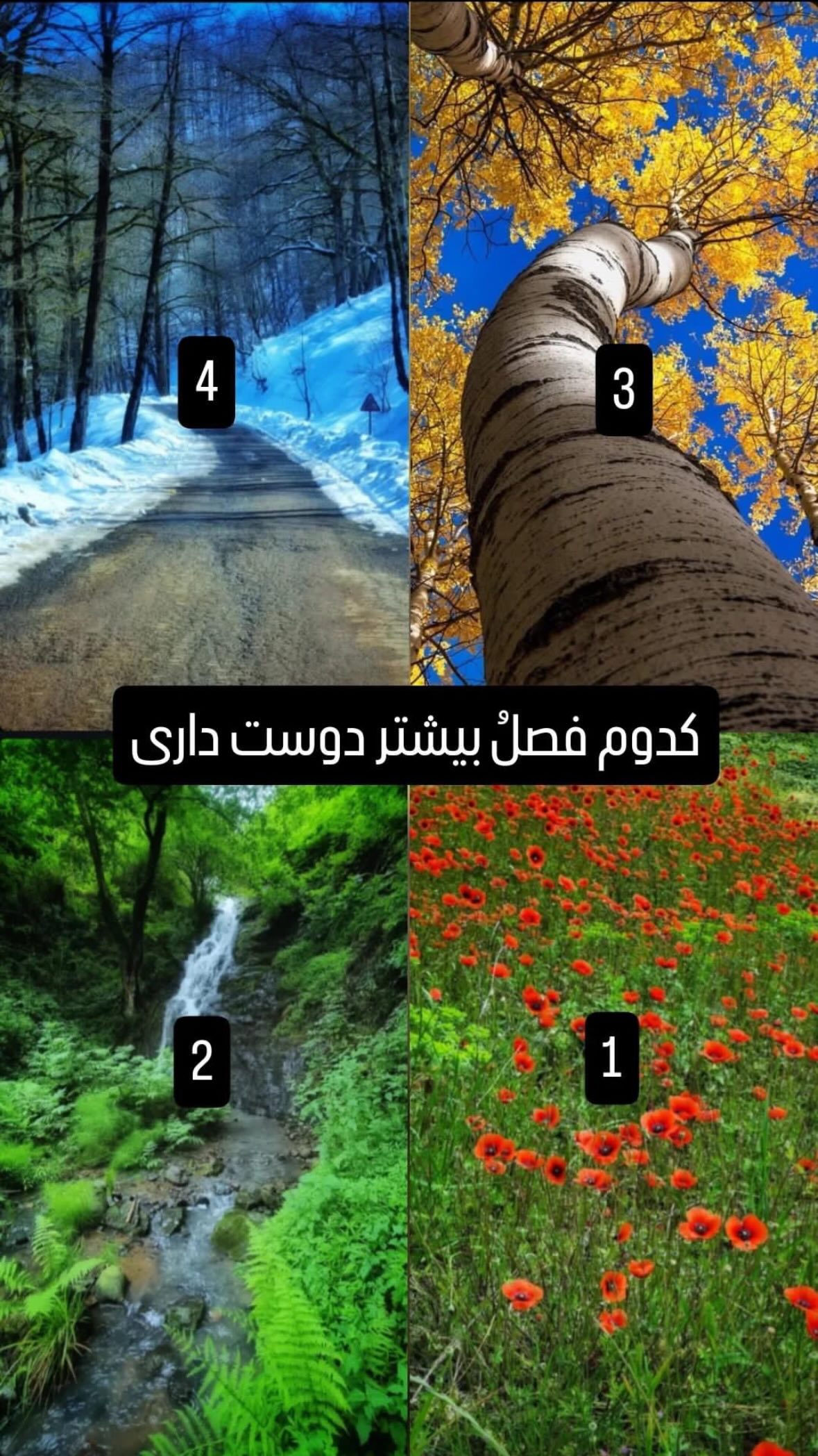  جدید ترین استوری اینستاگرام رظا شریعتی