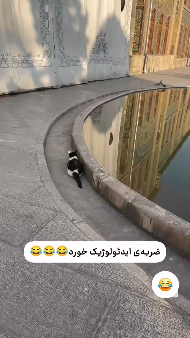  جدید ترین استوری اینستاگرام رظا شریعتی