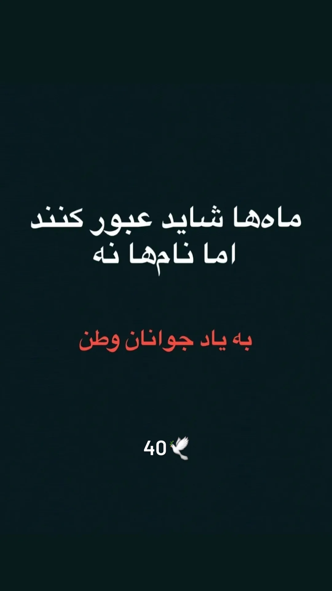  جدید ترین استوری اینستاگرام رظا شریعتی
